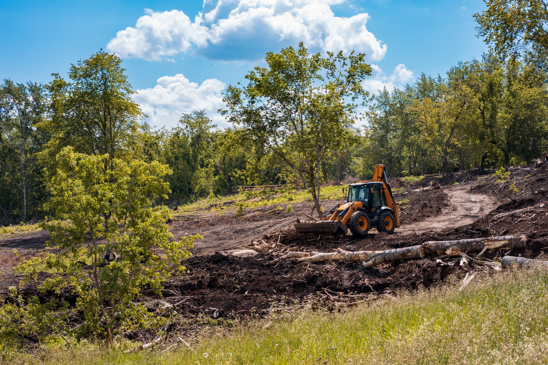 a tractor with a bucket rows branches and cleans the park